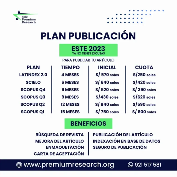 articulos plan publicacion